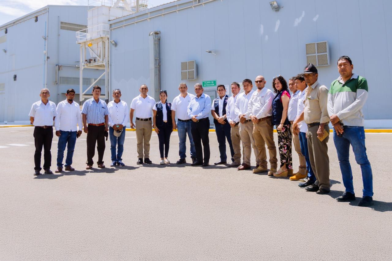 Sullana: agricultores participan en pasantía en planta procesadora de Stevia