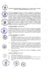 Vista preliminar de documento OGP 2023