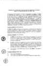 Vista preliminar de documento OGP 2020
