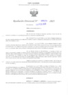 Vista preliminar de documento RD N° 196-2025