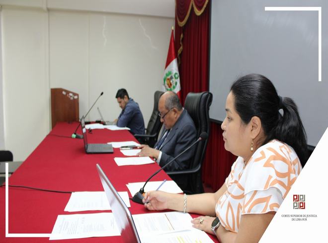 Corte Superior de Justicia de Lima Sur desarrolló con éxito entrevistas para sus procesos CAS 