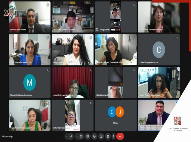 I Conversatorio Virtual con Jueces de Paz Letrado y No Letrado sobre "Ejecución de Medidas Cautelares de Alimentos" 