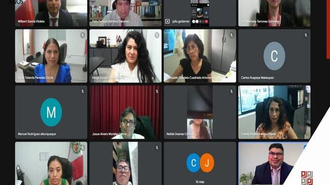 I Conversatorio Virtual con Jueces de Paz Letrado y No Letrado sobre "Ejecución de Medidas Cautelares de Alimentos" 