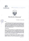 Vista preliminar de documento RD N°074-03-2025-DE-HCLLH-MINSA