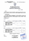 Vista preliminar de documento RA N°031-2025-DA-DIRIS-LC