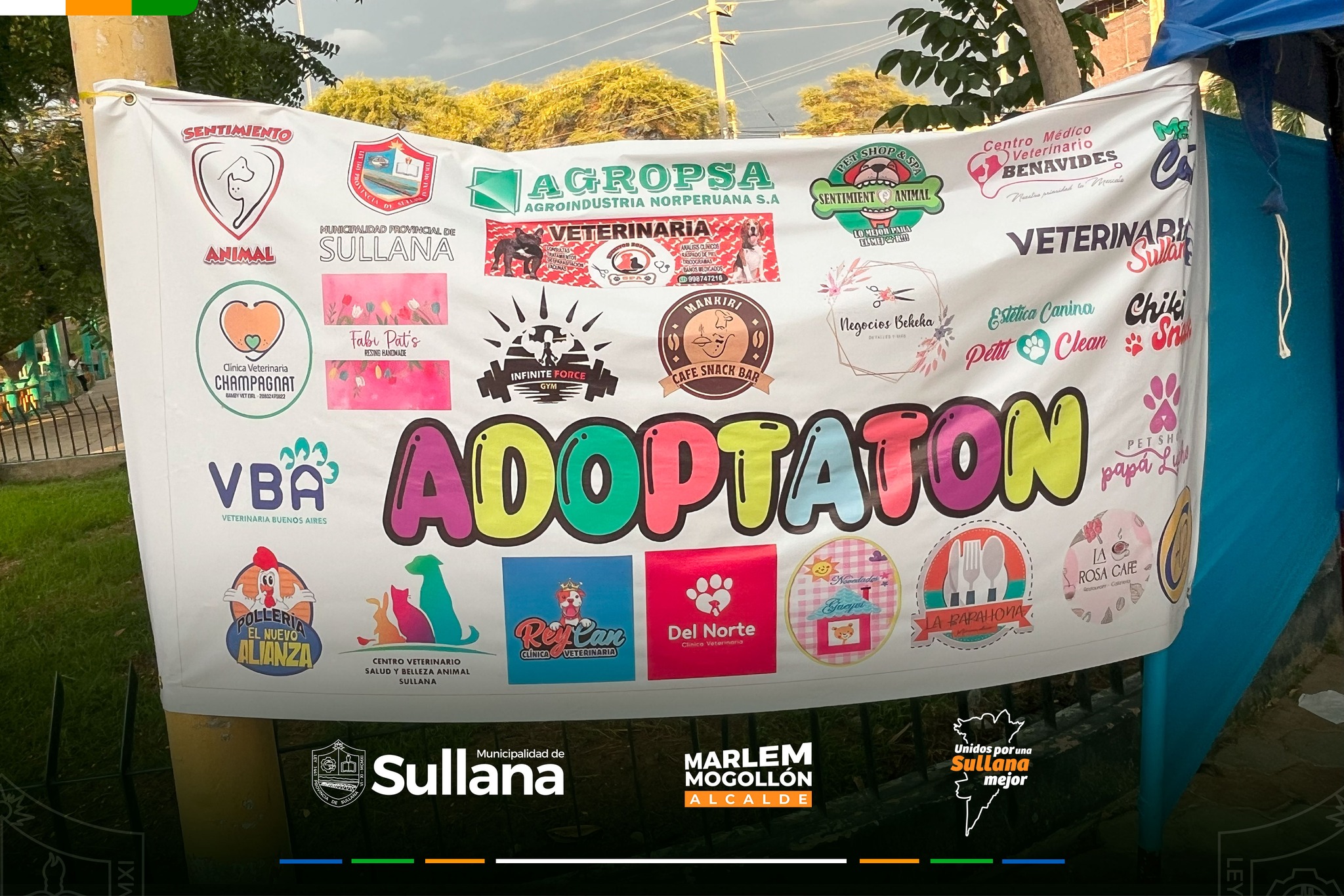 Sullana: Mascotas encontraron un hogar en exitosa jornada de adopción
