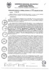 Vista preliminar de documento RGGR0141-2025