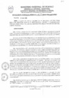 Vista preliminar de documento RGR0021-2025-GRDS