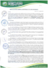 Vista preliminar de documento Resolucion-Gerencia-Municipal-195-2025-GM-MDQ-LC