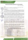 Vista preliminar de documento rgm-072