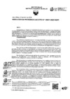 Vista preliminar de documento RPE-11-2025-INS/PE