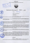 Vista preliminar de documento R.D N° 655-2025