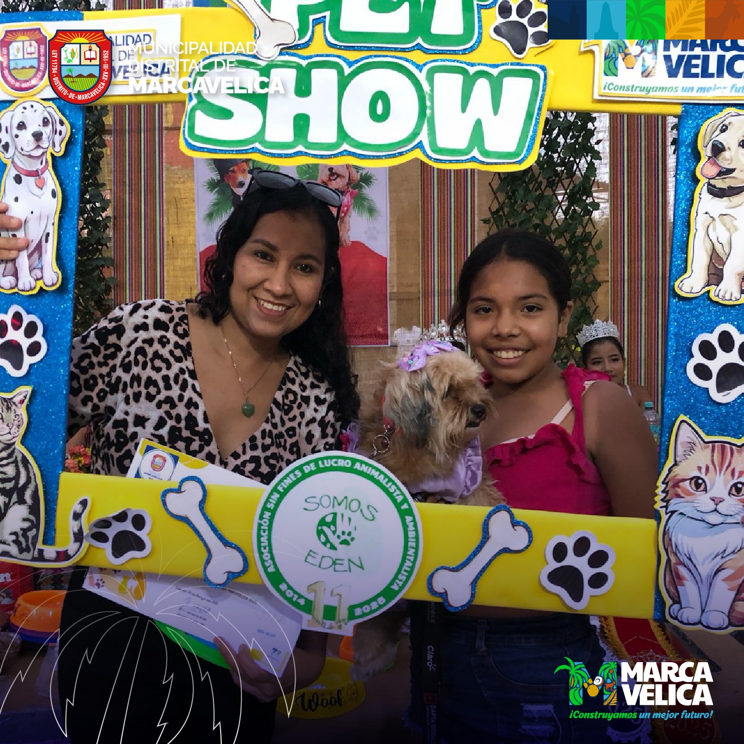 Concurso para mascotas