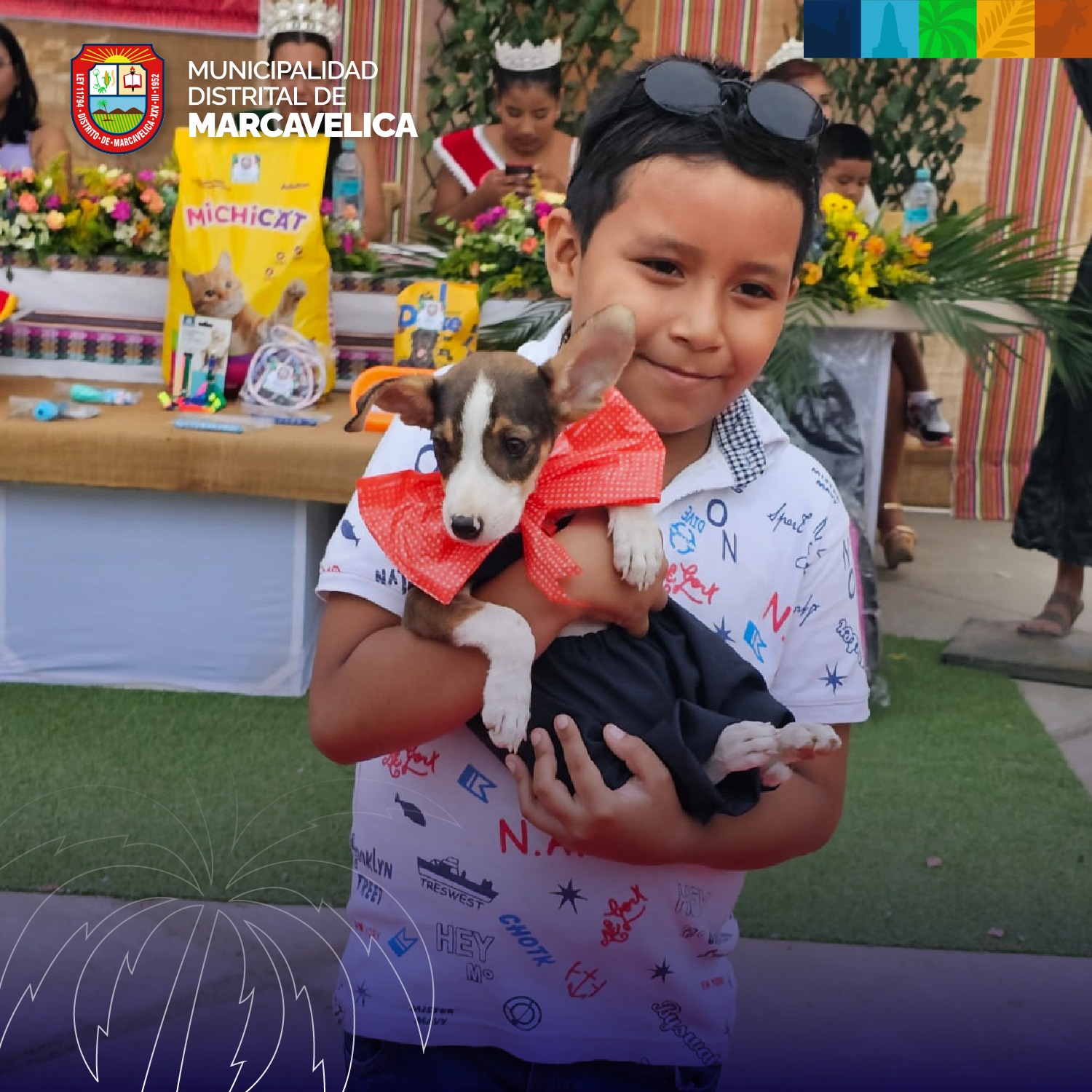 Concurso para mascotas