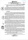 Vista preliminar de documento RGSRLS 0021-2025