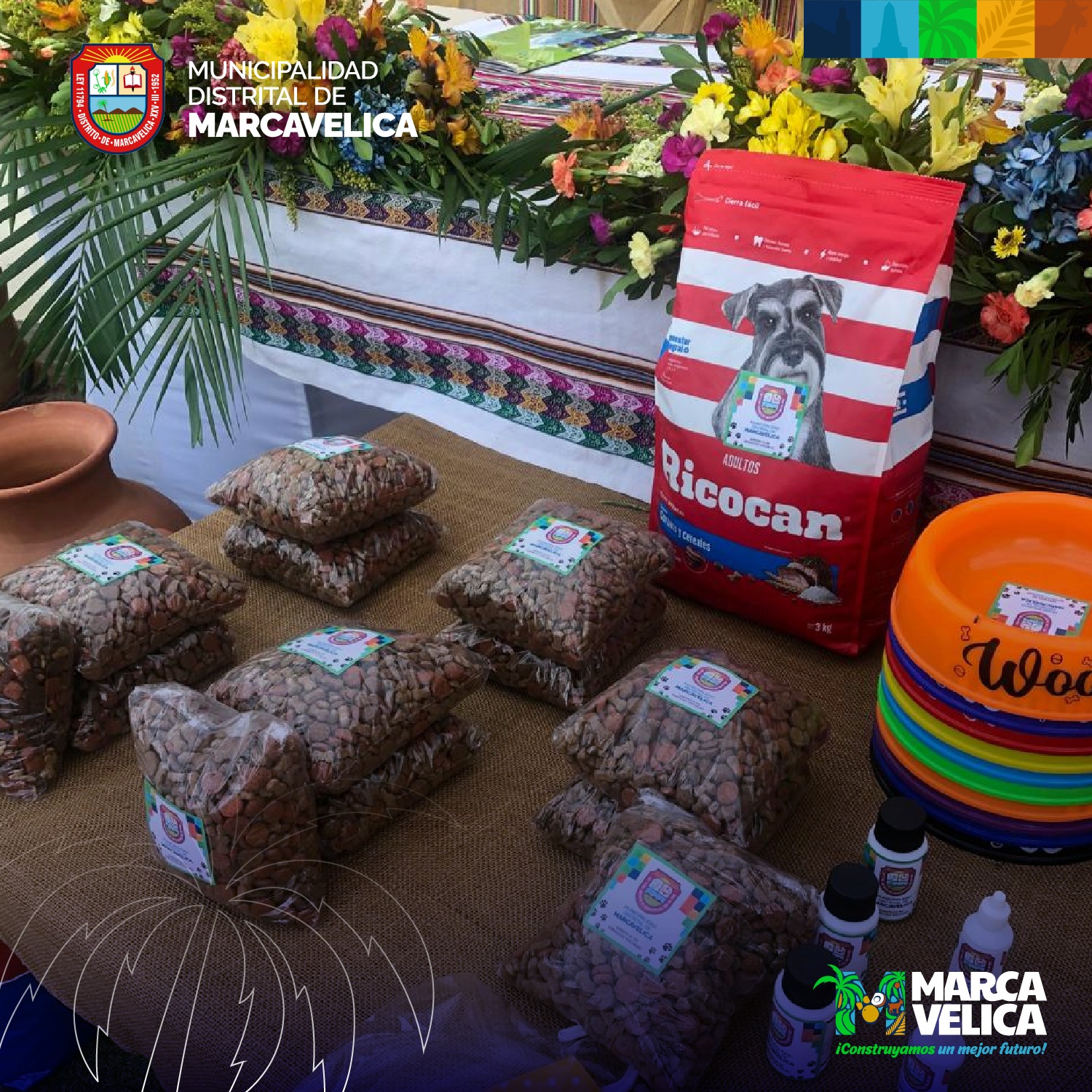Concurso para mascotas