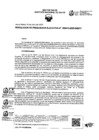 Vista preliminar de documento REP-13-2025-INS/PE