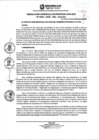 Vista preliminar de documento RGSRLS 0023-2025