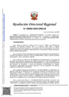 Vista preliminar de documento RDR-0885-2025-DRELM