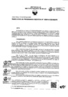 Vista preliminar de documento RPE-14-2025-INS/PE
