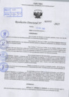 Vista preliminar de documento R.D N° 662-2025
