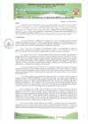 Vista preliminar de documento RESOLUCIÓN GERENCIAL Nº 080-2025-MPPA-A-GM-GDSE