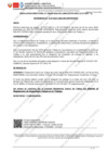 Vista preliminar de documento RD-032-2025-DPSC