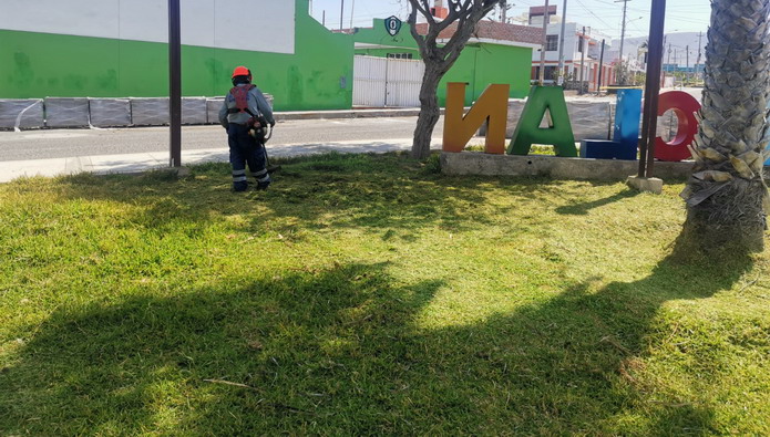 Jornada de Trabajo en Áreas Verdes de Mollendo