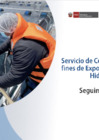 Vista preliminar de documento SEGUIMIENTO CARTA DE SERVICIO JUNIO 2023