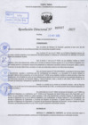 Vista preliminar de documento R.D N° 667-2025