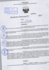 Vista preliminar de documento R.D N° 668-2025