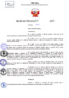 Vista preliminar de documento Resolucion Directoral N° 002428-2025