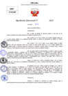 Vista preliminar de documento Resolucion Directoral N° 002429-2025
