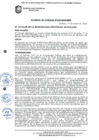 Vista preliminar de documento ACUERDO DE CONCEJO N° 029-2025/MPS