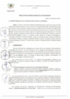 Vista preliminar de documento RGM_010_2025_MDI