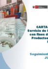 Vista preliminar de documento PPT_SEGUIMIENTO_CARTA_DE_SERVICIO_JUNIO_2021 (1)