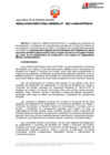 Vista preliminar de documento RDG 114-2024