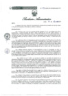 Vista preliminar de documento RA 691 OP 2024