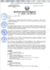 Vista preliminar de documento 00233 RDR 2025 CONFORMAR EL COMITE PARA PROCESO DE CONTRATACION DE PERSONAL CAS DEL PP 051 DE PREVENCION DE DROGAS (PTCD) 2025