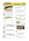 Vista preliminar de documento Boletín de ARROZ - 04/06/20