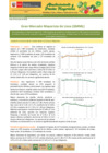 Vista preliminar de documento Boletín de Abastecimiento y Precios Mayoristas GMML y MM Nº2 -04/06/20