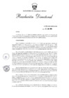 Vista preliminar de documento Resolución Directoral No. 131-2025-MINEM-DGH