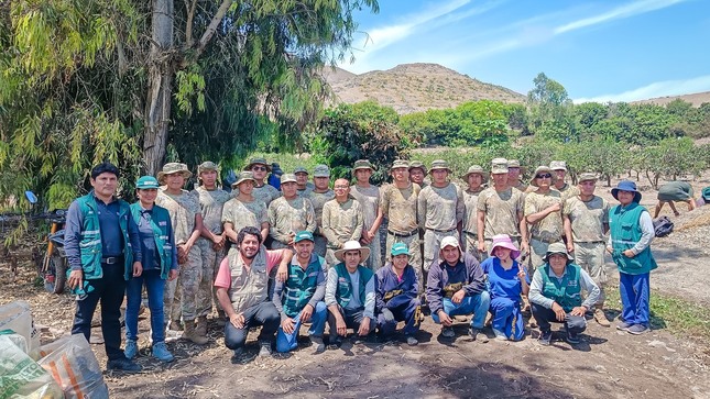 SENASA, Municipalidad de Huaral y el Ejército del Perú siguen combatiendo la Mosca de la Fruta en Huaral