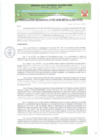 Vista preliminar de documento RESOLUCIÓN GERENCIAL Nº 087-2025-MPPA-A-GM-GDSE