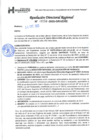 Vista preliminar de documento 00250 RDR 2025 DAR CUMPLIMIENTO SILVIA SANTIAGO TUCTO