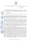 Vista preliminar de documento RER.166
