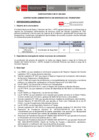 Vista preliminar de documento BASES CAS N° 002-2025