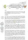 Vista preliminar de documento RESOLUCIÓN DIRECTORAL 197. 2025 FEDATEADO