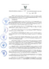 Vista preliminar de documento GRDS.137