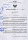 Vista preliminar de documento R.D N° 685-2025